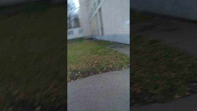 пройти с шапкой на глазах ЧЕЛЕНДЖ смотреть онлайн