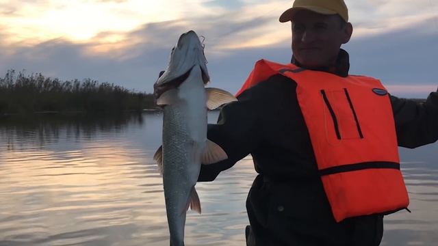 Жерех на кастмастер / Ловля жереха на Волге / Рыбалка осенью / Джиг трилогия #3 смотреть онлайн