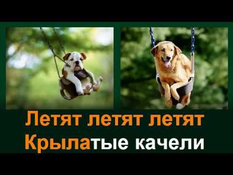 Крылатые качели