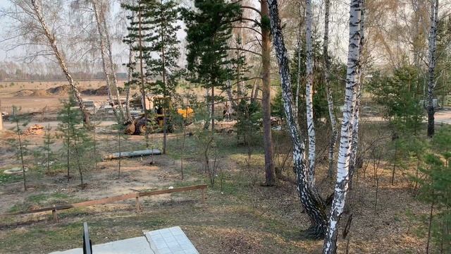 Омск - Чернолучье - Сосновый Бор - 4K - iPhone XS Max #07 смотреть онлайн