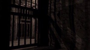 У неё моё лицо. Озвучка фанфика. Драмиона || Dramione