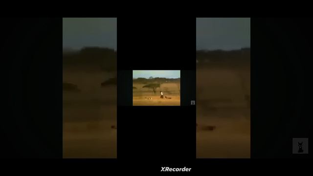 1000016510.mp4