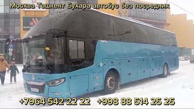 Москва Ташкент такси автобус #ташкент #москва #такси #такси #москва #узбекистан #2023 #автобус Росс