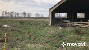 Установка электропастуха своими силами