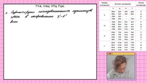 #9 Молекулы тРНК входят в рибосому | Задачи 27 синтез белка | Правильное оформление | ЕГЭ Биология