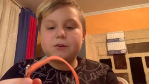 Вся амуниция моей собаки!|Phill The Dog|??