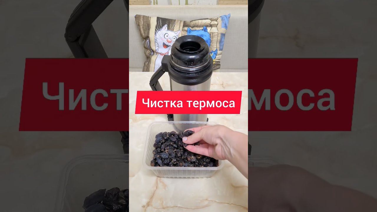Грязный термос я легко отмываю. #термос #какпочистить #чистка #чисткапосуды #уборка #какотмыть