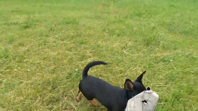 Футбол по ланкаширски, 24.06.2023 смотреть онлайн