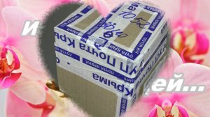 ОРХИДЕИ ПОЧТОЙ. Распаковка посылки. ОРХИДЕИ из Азии.