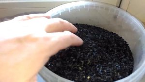 Как избавиться от органики в аквариуме. Химический фильтр своими руками в помощь