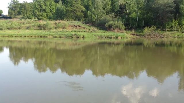 Озеро вблизи Романовского Парка смотреть онлайн