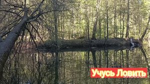 Новая подставка под удочку.
