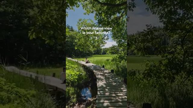 #Секреты зоопарка #Лев смотреть онлайн