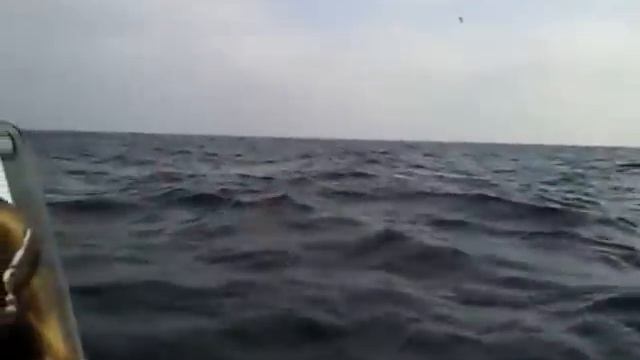 осенняя рыбалка смотреть онлайн