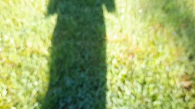 Зелье приворотное . Вода дождевая, котовник кошачий и... смотреть онлайн