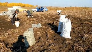 Виталий Котиц Батя