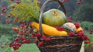 Святая осень, исп. зас. арт. РФ В.Пьянов, комп. Г.Шарин, стихи И.Головко