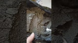 зцм.заменитель молока.выпойка ягнят.телят.поросят