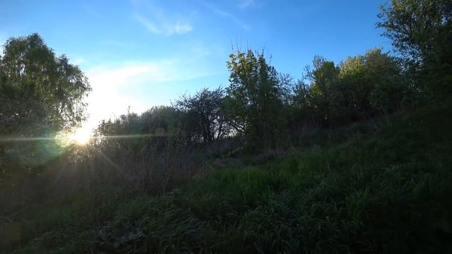 НАШЕЛ НА ДНЕ ЯМЫ! ВЕСЬ КОЛХОЗ КИДАЛ МЕТАЛЛ В ЭТОТ ОВРАГ! Коп металлолома смотреть онлайн