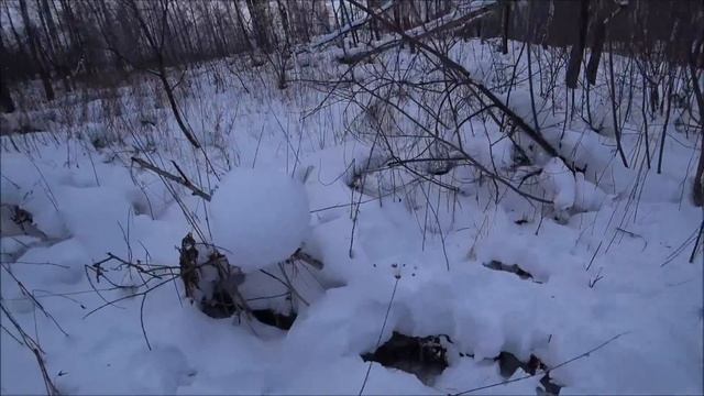 Три зайца вокруг нас, Засадил ниву. Снегоход смотреть онлайн