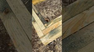 Обвязка свайного фундамента срощенной доской