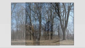 Fujifilm Finepix S3 PRO