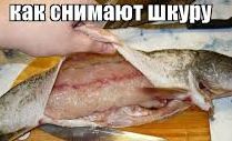Как снять шкуру с щуки.