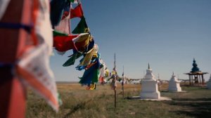 Одинокий тополь - Калмыкия