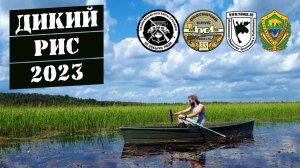 Биотехния водоплавающей_Дикий рис_Фестиваль дикого риса