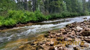 Сплав по р.Чуплега - р.Пинега (до Усть-Пинеги) 18.07-20.07.23г