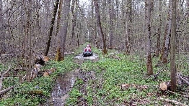ямаха гризли 125