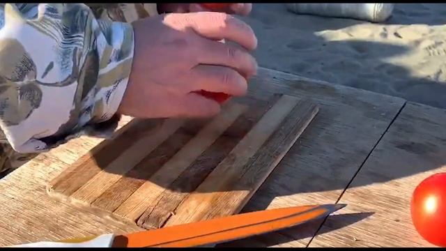 Рыбалка на реке Или / осень 2020 /сазан / судак / жерех / сом смотреть онлайн