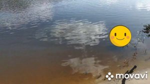 Рыбалка на Ветлуге. Сентябрь