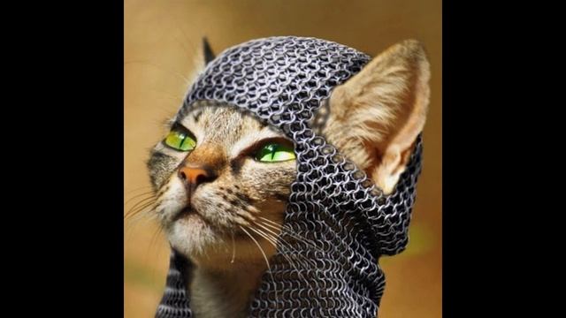 "Побег с зоны" и базовый Смысл Входных Врат. Часть 1 (V. S.) смотреть онлайн