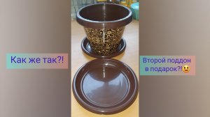 Мечты сбываются!😊Вредная кожа! 🤨Подарки папе с Надей.🎁🎊Удобрения.🌱Не реклама!