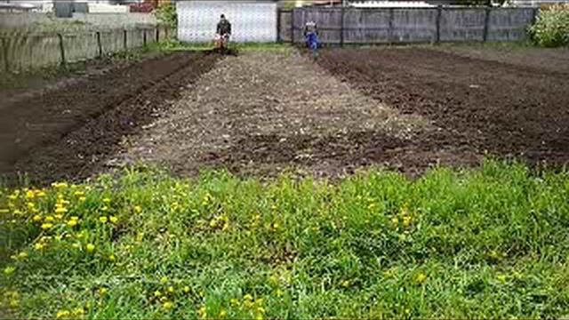 Мотоблок НЕВА. Вспашка кортежем_4.06.2018..flv смотреть онлайн