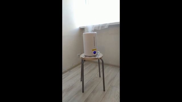 КАК Я РАНЬШЕ ЖИЛ БЕЗ ЭТОЙ ШТУКИ??!! ОБЗОР БЮДЖЕТНОГО УВЛАЖНИТЕЛЯ ВОЗДУХА DEM-F628S