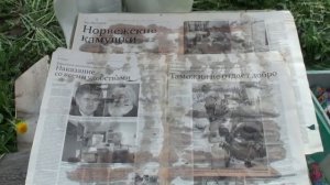 Объединение пчелиных семей через газету