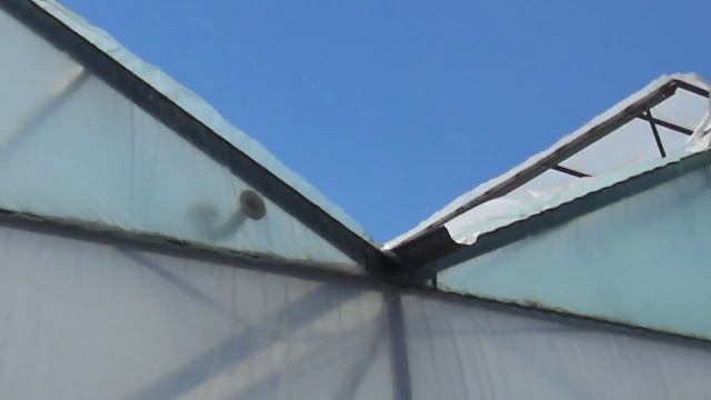 Теплица Антрацит модернизированная под пленку.