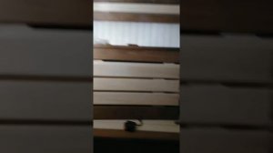 Светодиодное освещение бани(2)