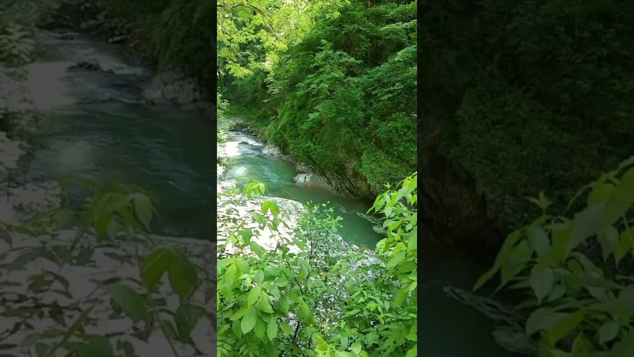Гуамское ущелье(Краснодарский край)#буграирина #водаэтожизнь #путешествия#жизньбезболи #природа