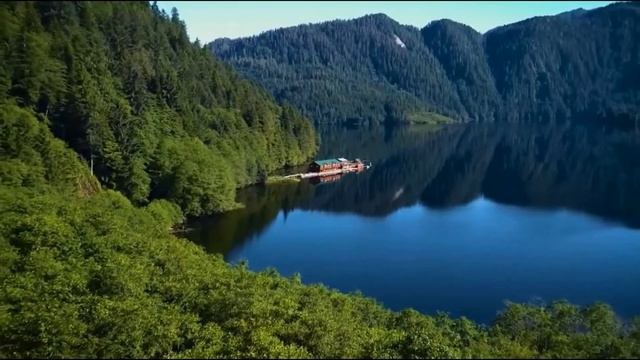 Люди вскочили с мест когда вода вдруг забурлила! Они не поверили своим глазам когда увидели ЭТО! смотреть онлайн