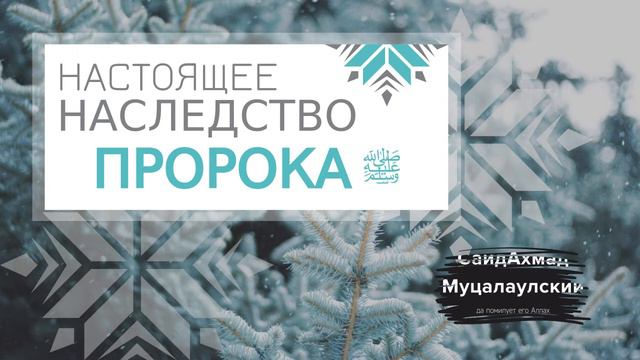 Истинное наследство пророка ﷺ (и являются ли т. н. реликвии пророка его наследством?) - Абу Джабир смотреть онлайн