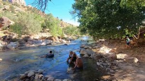Zion парк с домом на колёсах.