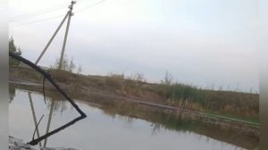 Обзор .на кормушку с сеткой с AliExpress в высохшем пруду !