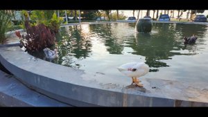 Отель Arawan Krabi Beach resort