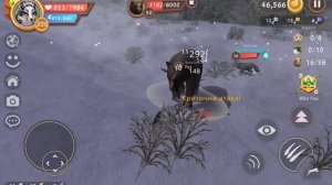 #WildCraft - помогаю другу прокачать волка до 45 уровня в Wild craft