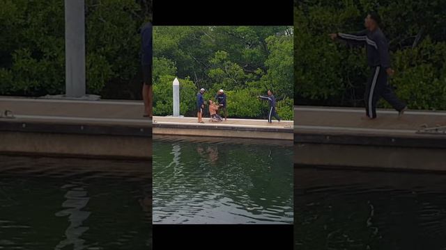 Нехочется уезжать с Кубы