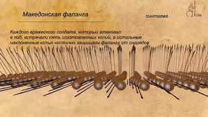 Македонская фаланга - структура и организация