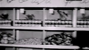 1969 год. Тюмень. Магазин "Дары земли".